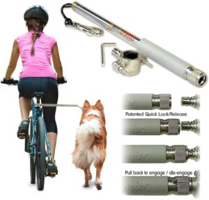 Why We Trust the WalkyDog Plus for Safe Dog Biking Adventures