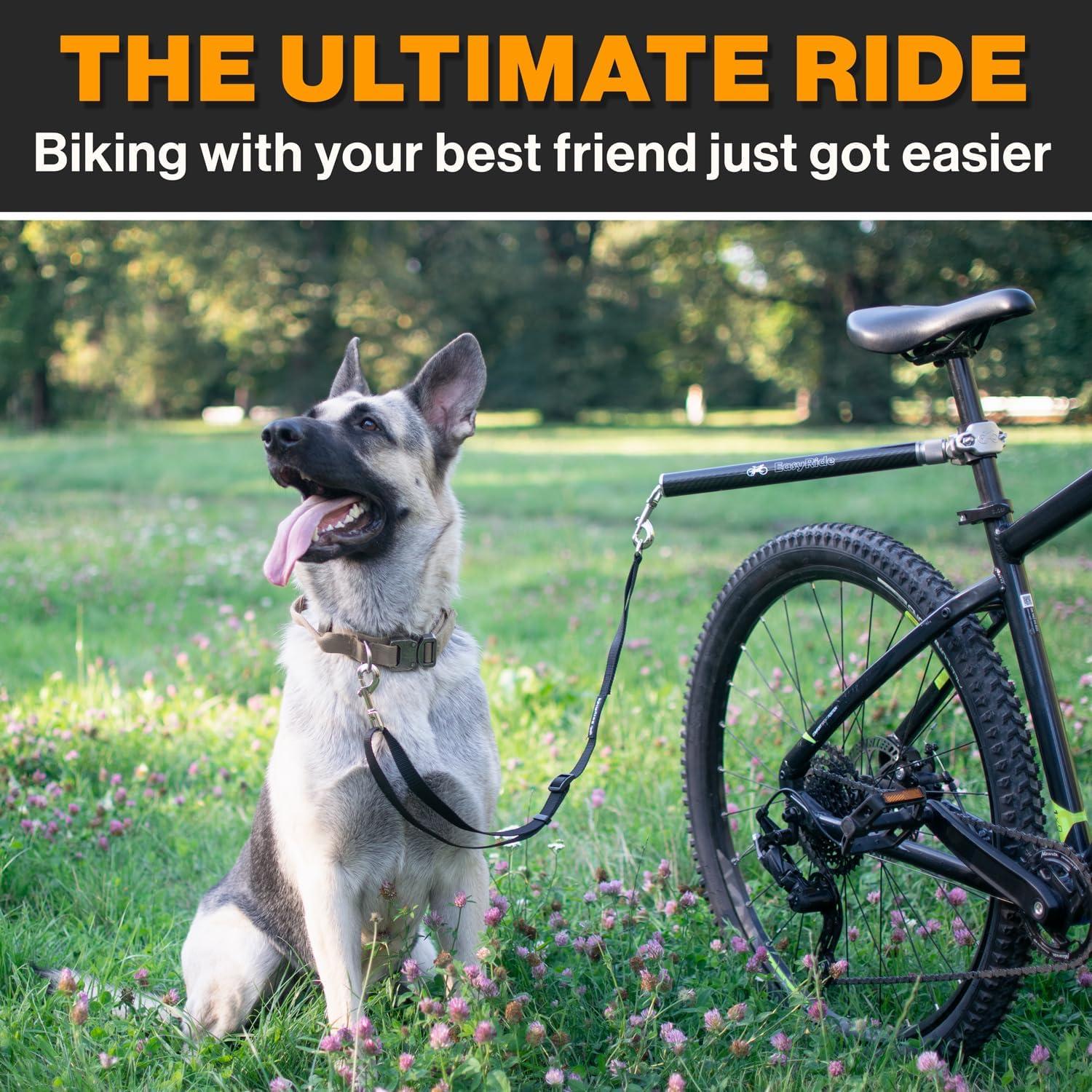 Our Ride Review: V2.0 Rotating ​Dog Bike Leash for Smooth Journeys