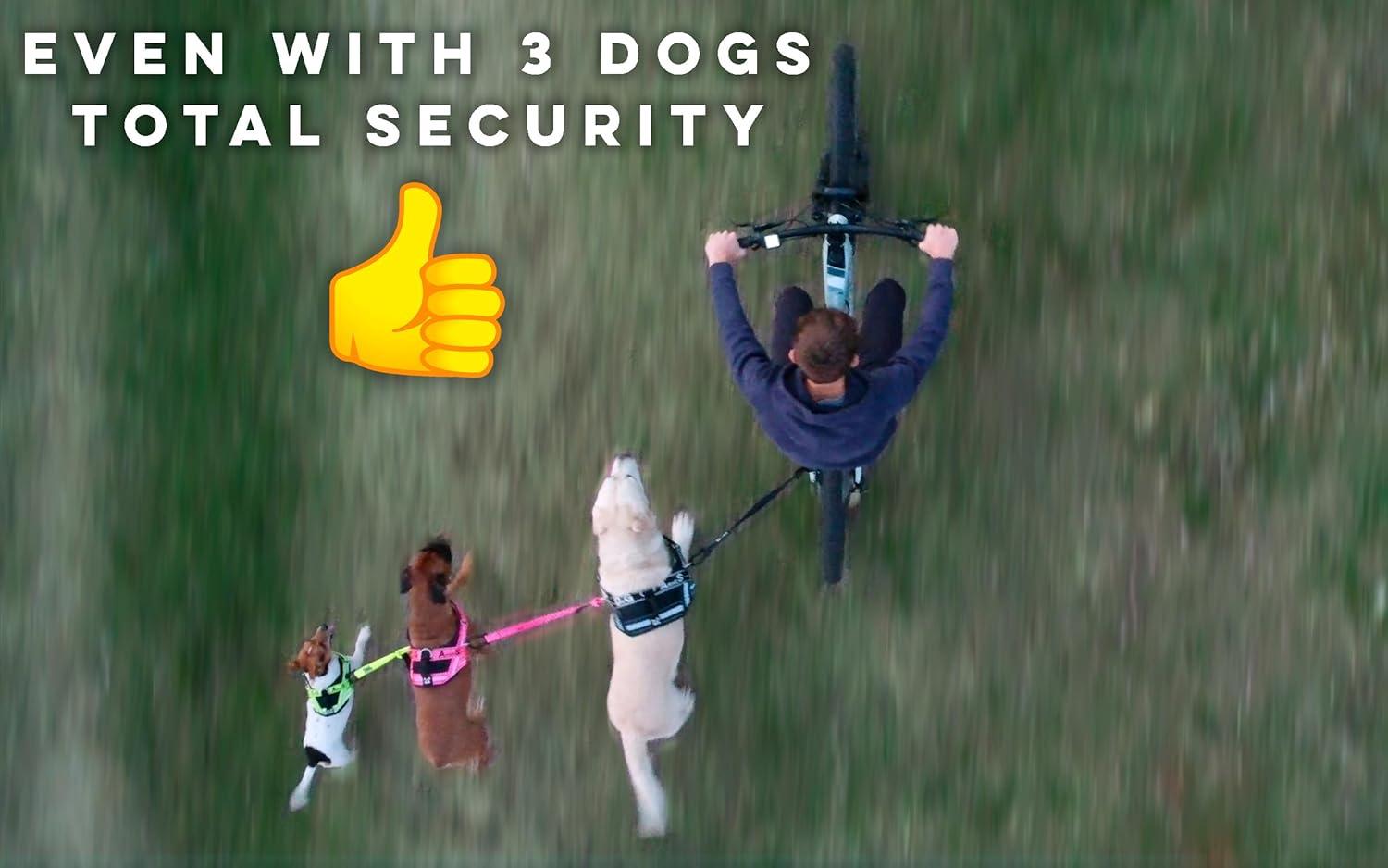 How We Ride Safely: Reviewing BIKE AND DOG's Leash & Harness