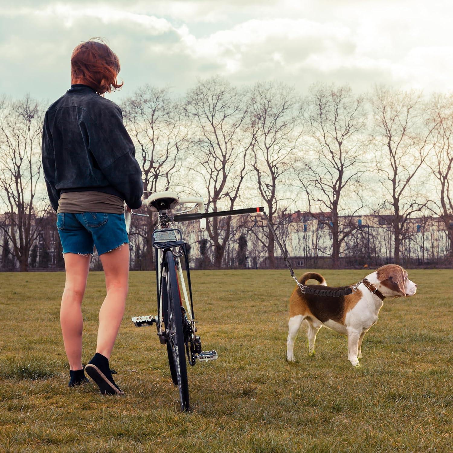 Hands-Free Dog Bike Leash: Our⁣ Safe Cycling Companion Review
